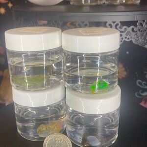 Ethiopian Water Opals -Specimen grade